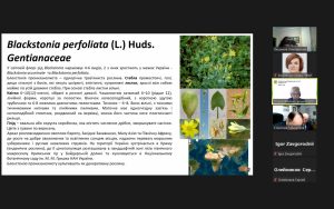 Доповідь на секції Природничих наук "Вивчення флавоноїдів Blackstonia perfoliata (L.) Huds"
