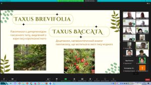 Результати секційного засідання гуртка СНТ кафедри фармакогнозії та нутриціології 19.04.2024 р. за науковим напрямком: “Дослідження лікарських рослин та створення фітопрепаратів”