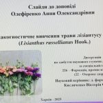 22 травня 2025 року - захист дисертаційної роботи ОЛЕФІРЕНКО Анни Олександрівни